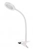 CHESTER 6W CLAMP LAMP WHITE